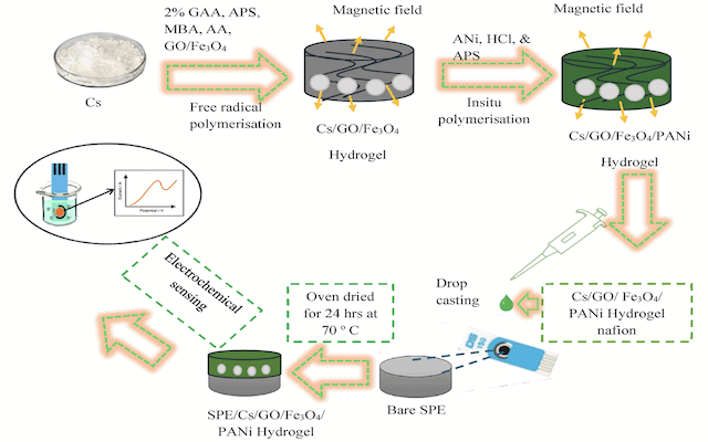 H2 sensor system