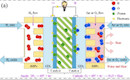 FC PEM analysis